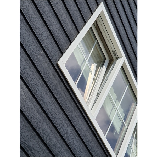 90caabea-f991-4ab9-8dff-b32e66bb99ad Zweeds Rabat Composiet Zwart 22.8 x 290cm